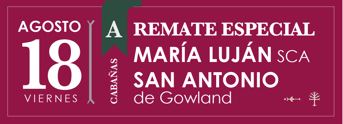 Remate Cabañas María Luján con San Antonio