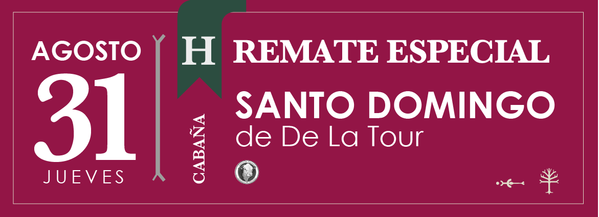 Remate Especial Cabaña Santo Domingo 