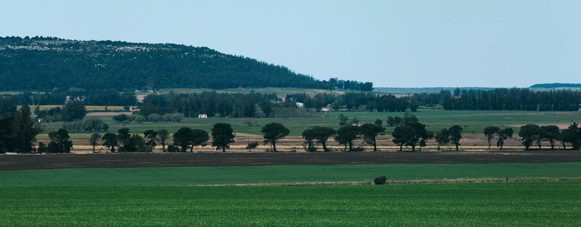 Venta Campos en Balcarce