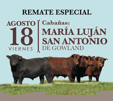 Remate Cabaña María Luján y San Antonio 18 de Agosto