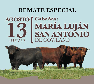 Ficha informativa del Remate de reproductores Angus Cabaña María Luján y San Antonio
